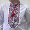 Вишиванка на хлопчика Максим з червоно-чорною вишивкою 